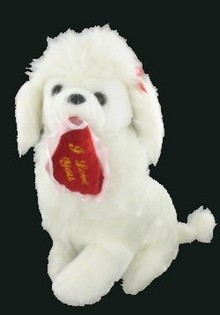 LINDO POODLE COM CORA&Ccedil;&Atilde;O
