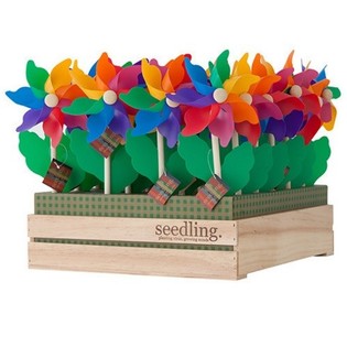 SEEDLING - MOINHOS DE VENTO EM EXPOSITOR (20 un.)