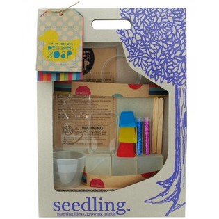 Kit Seedling DIY - Cria os teus próprios sabonetes