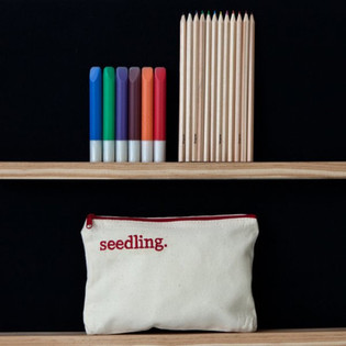 SEEDLING - CRIA O TEU PR&Oacute;PRIO ESTOJO (1 un.)