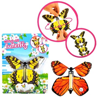 Borboleta Voadora em Cart&atilde;o (24 un.)