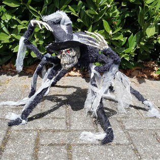 MEGA ARANHA DE DECORA&Ccedil;&Atilde;O COM CAVEIRA E OLHOS LUMINOSOS (2 un.)
