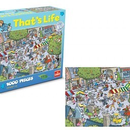 Puzzle That&rsquo;s Life - Village, 1000 pe&ccedil;as (1 un.)