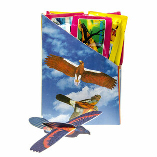 Avi&otilde;es de Espuma P&aacute;ssaros em Display (48 un.)