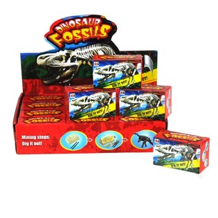 PEQUENO SET DE ARQUE&Oacute;LOGO EM DISPLAY (12 un.)